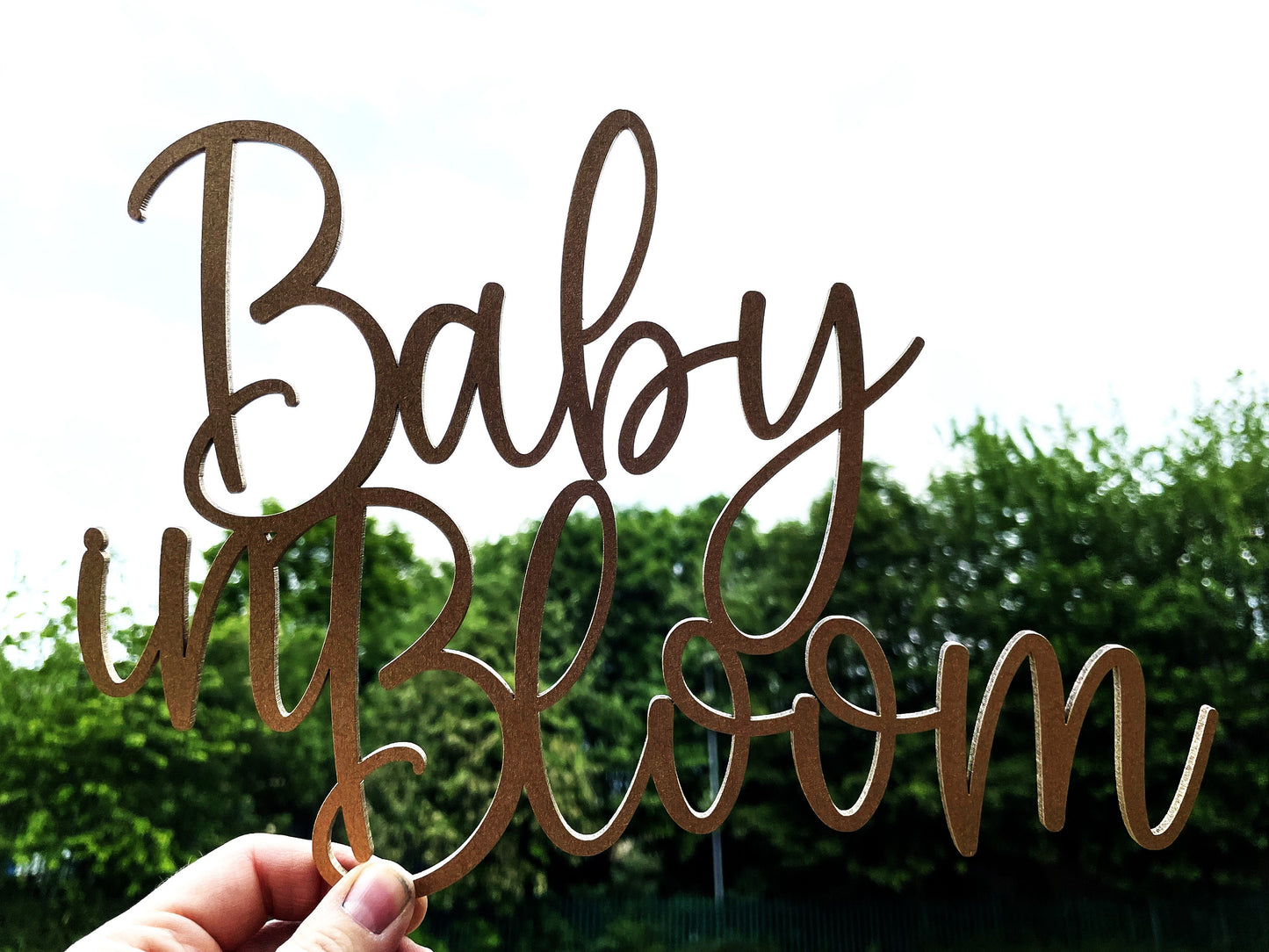 Baby in Bloom Sign