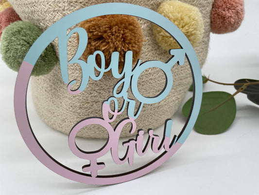 Boy or Girl Gender Reveal Hoop