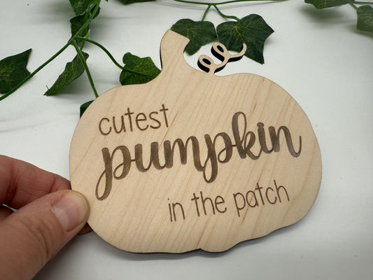 Cutest pumpkin in the patch